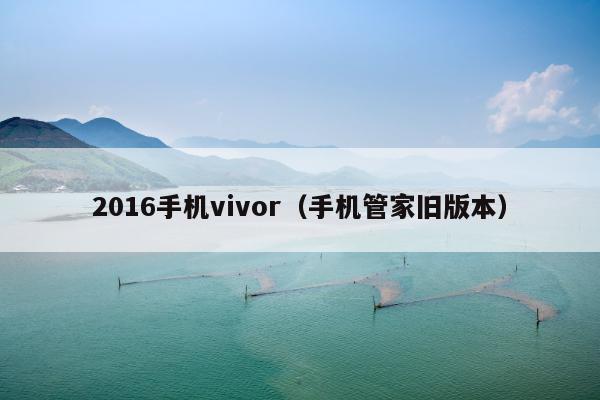 2016手机vivor（手机管家旧版本）