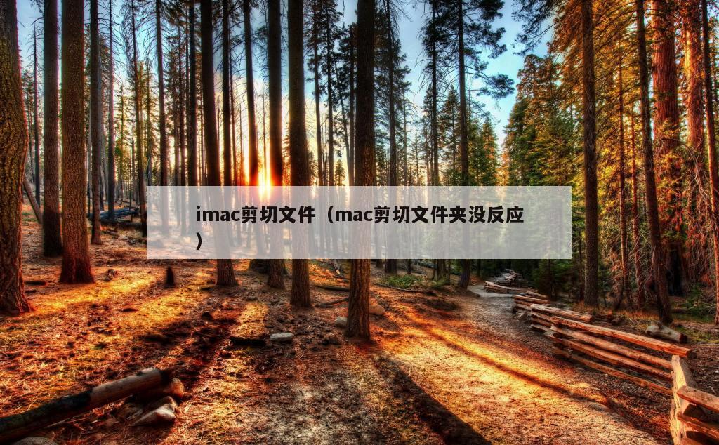 imac剪切文件（mac剪切文件夹没反应）