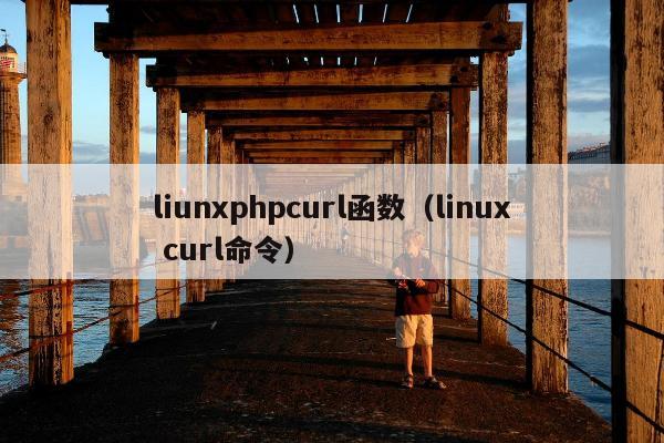 liunxphpcurl函数（linux curl命令）