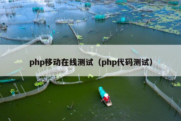 php移动在线测试（php代码测试）