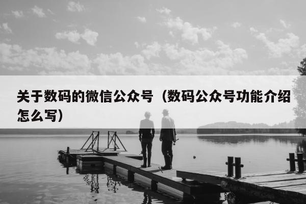 关于数码的微信公众号（数码公众号功能介绍怎么写）