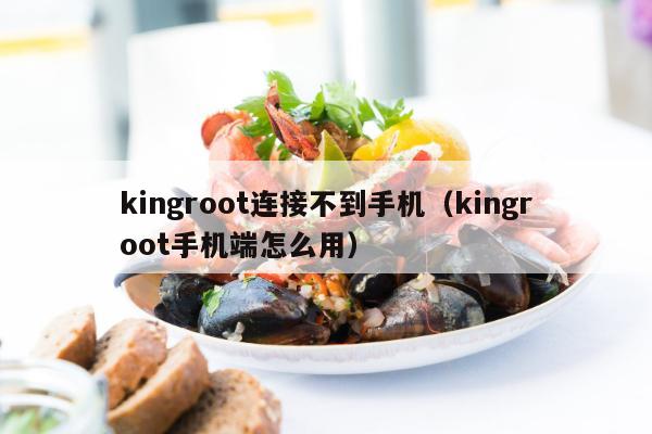 kingroot连接不到手机（kingroot手机端怎么用）