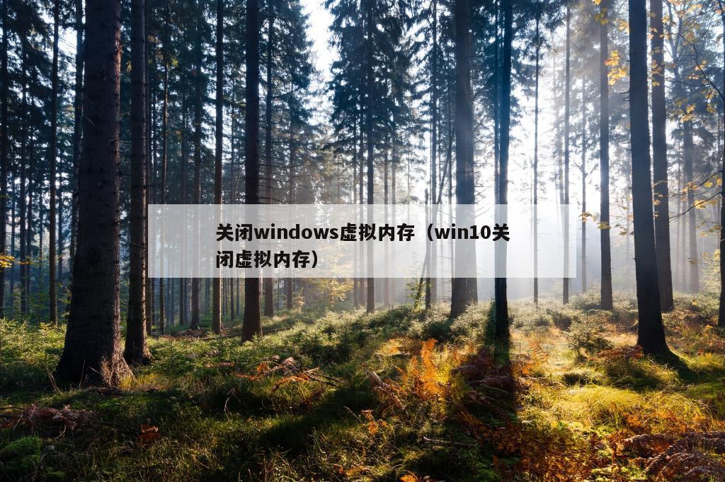 关闭windows虚拟内存（win10关闭虚拟内存）