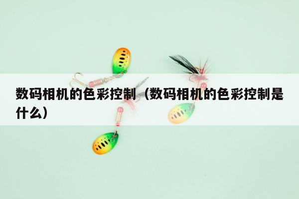 数码相机的色彩控制（数码相机的色彩控制是什么）