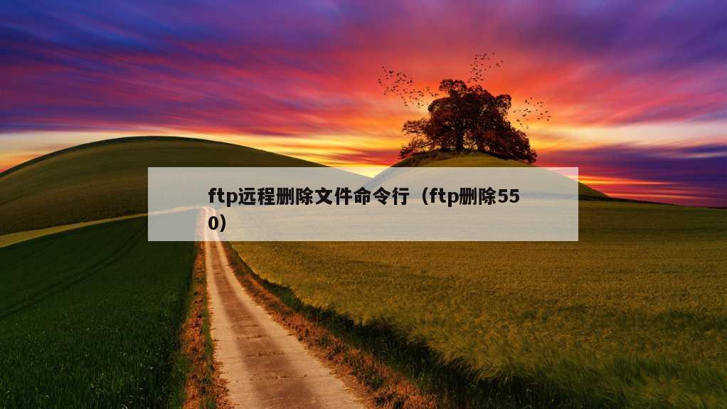 ftp远程删除文件命令行（ftp删除550）