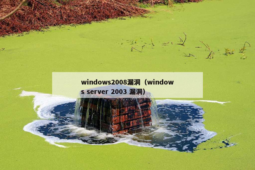 windows2008漏洞（windows server 2003 漏洞）