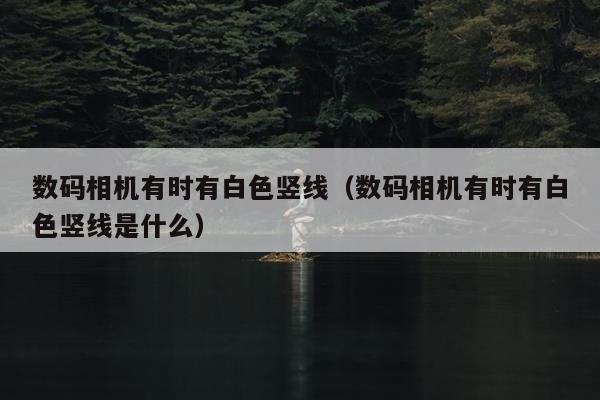 数码相机有时有白色竖线（数码相机有时有白色竖线是什么）