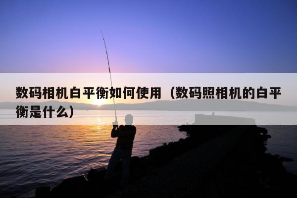 数码相机白平衡如何使用（数码照相机的白平衡是什么）