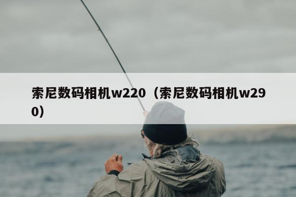 索尼数码相机w220（索尼数码相机w290）