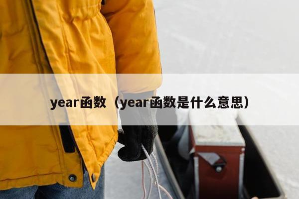 year函数（year函数是什么意思）