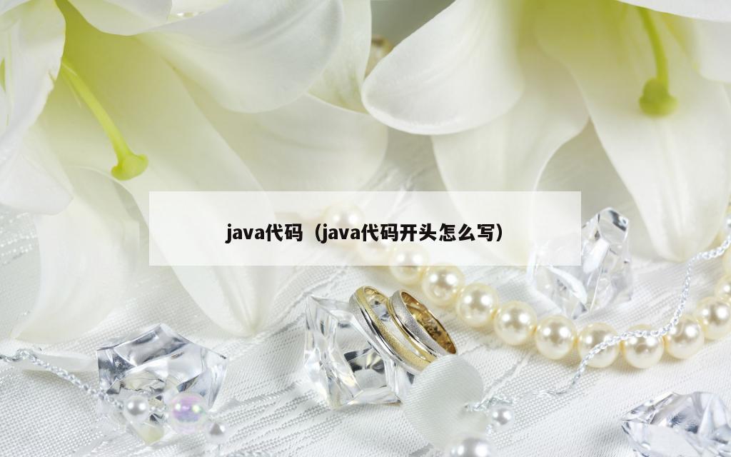 java代码（java代码开头怎么写）