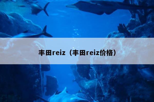 丰田reiz（丰田reiz价格）