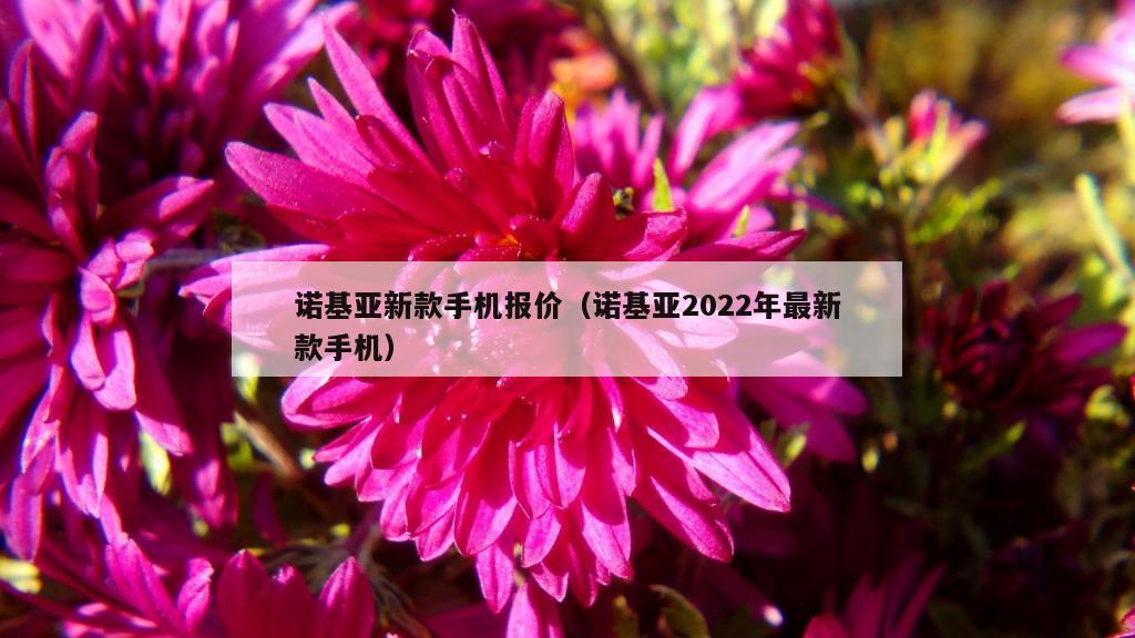 诺基亚新款手机报价（诺基亚2022年最新款手机）