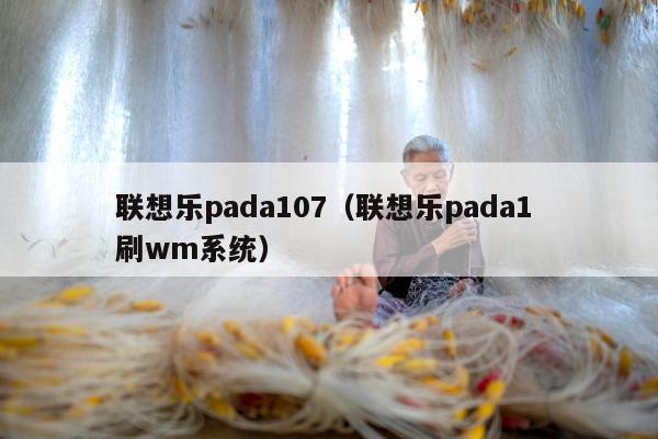 联想乐pada107（联想乐pada1 刷wm系统）