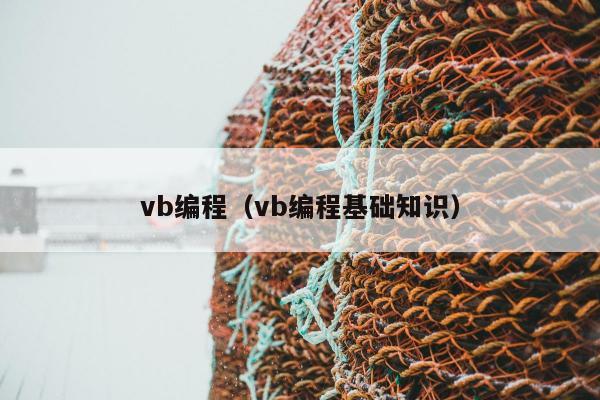 vb编程（vb编程基础知识）