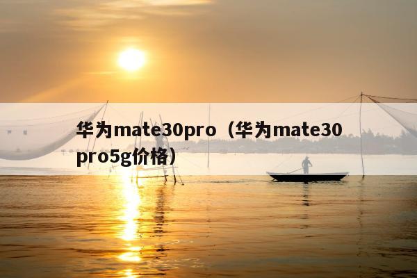 华为mate30pro（华为mate30pro5g价格）