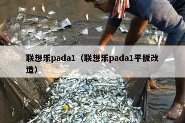 联想乐pada1（联想乐pada1平板改造）