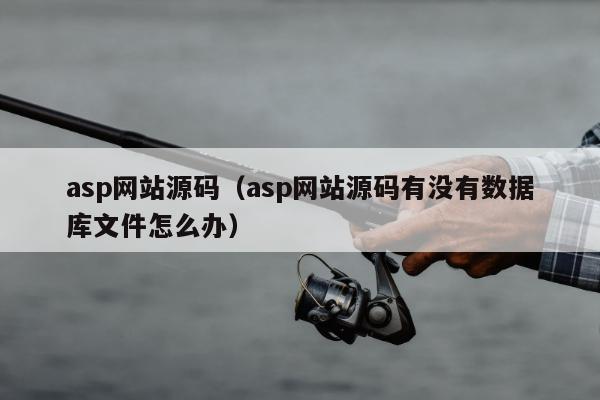 asp网站源码（asp网站源码有没有数据库文件怎么办）