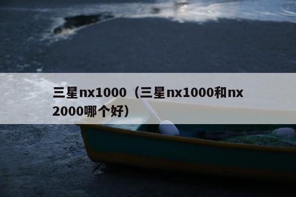 三星nx1000（三星nx1000和nx2000哪个好）