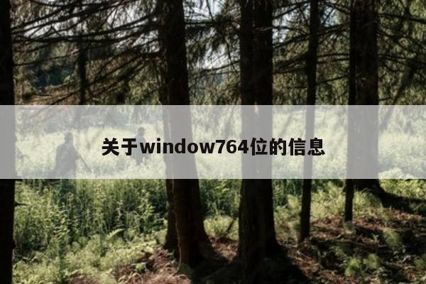 关于window764位的信息