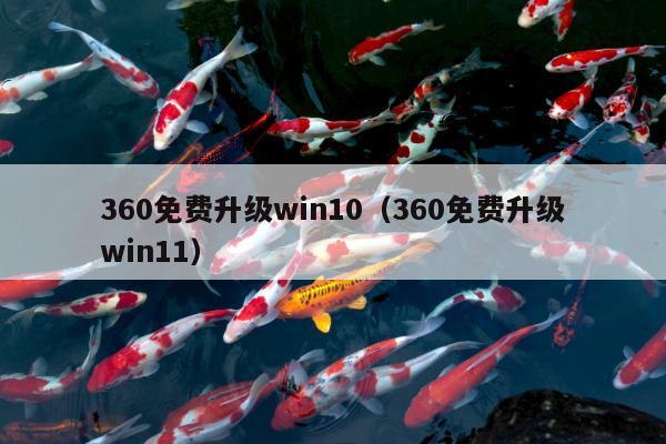 360免费升级win10（360免费升级win11）