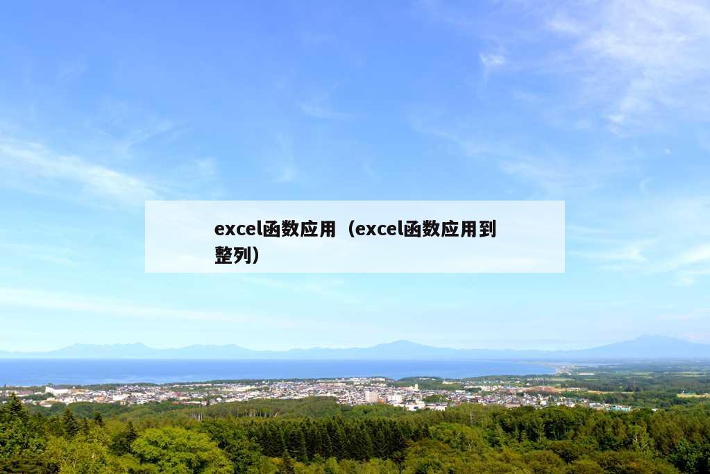 excel函数应用（excel函数应用到整列）