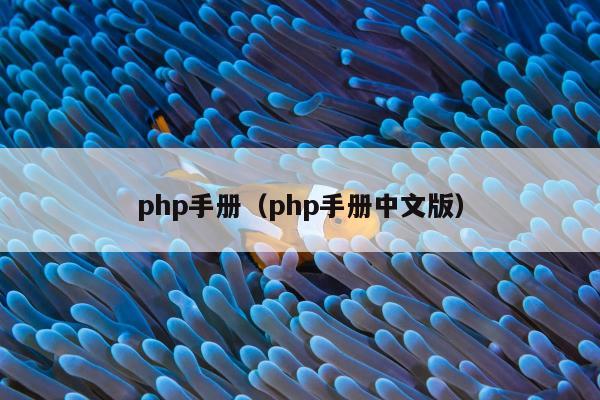 php手册（php手册中文版）