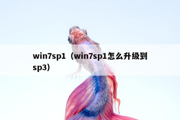 win7sp1（win7sp1怎么升级到sp3）