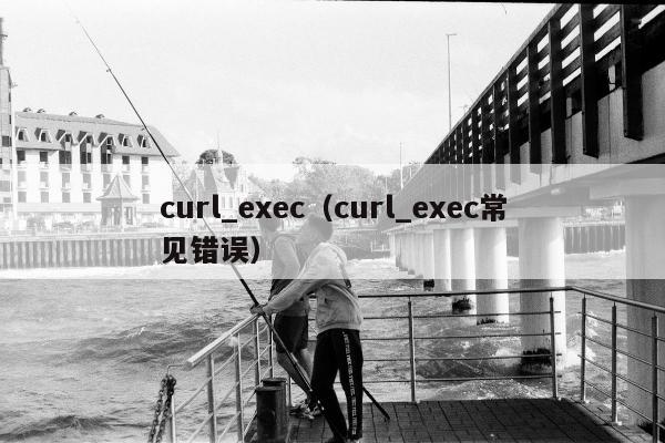 curl_exec（curl_exec常见错误）