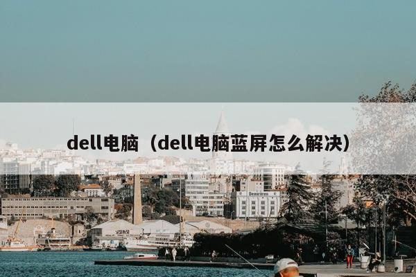 dell电脑（dell电脑蓝屏怎么解决）