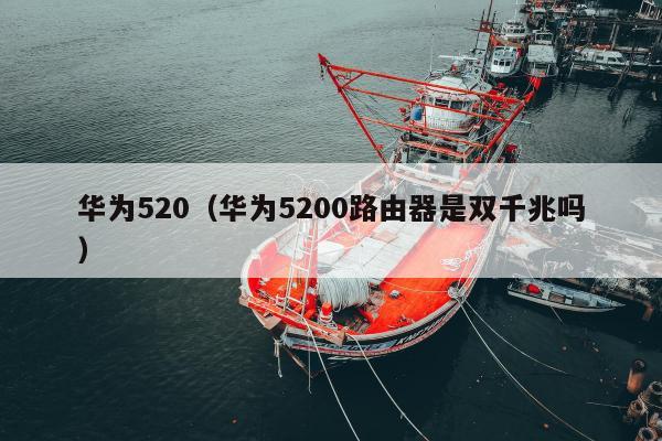 华为520（华为5200路由器是双千兆吗）