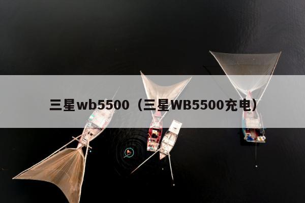 三星wb5500（三星WB5500充电）