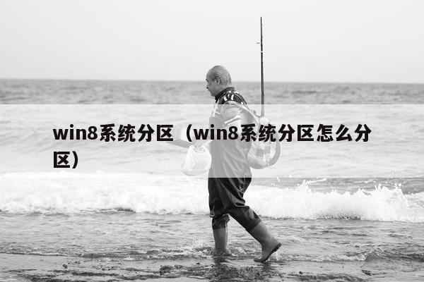 win8系统分区（win8系统分区怎么分区）