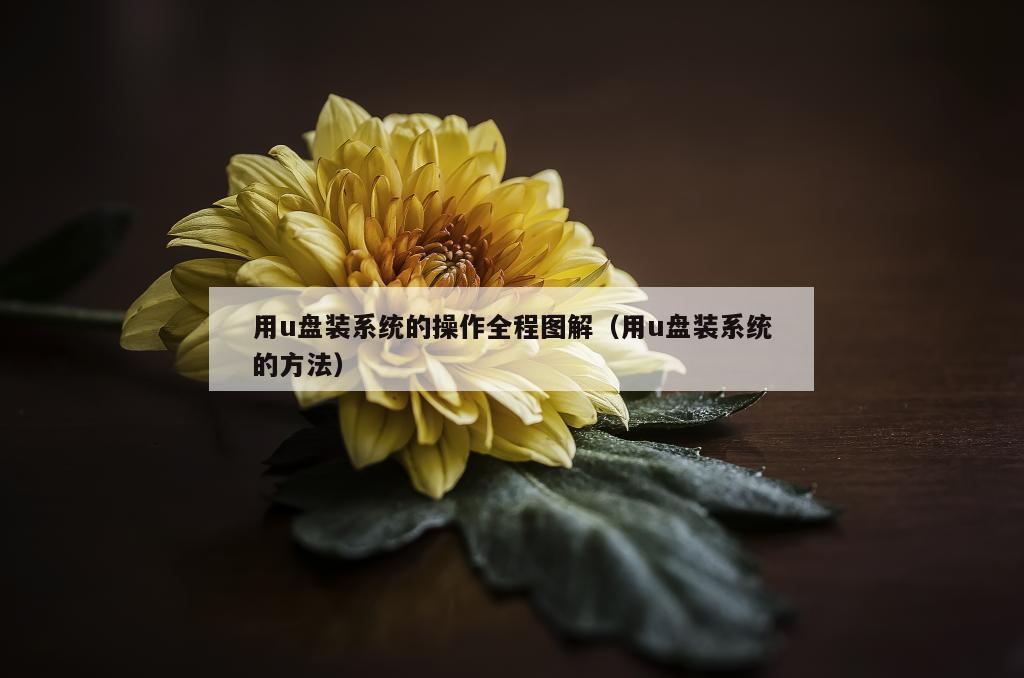 用u盘装系统的操作全程图解（用u盘装系统的方法）