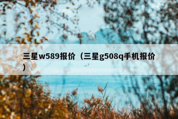 三星w589报价（三星g508q手机报价）