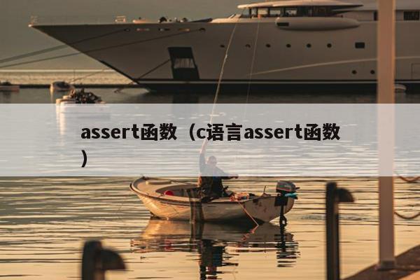 assert函数（c语言assert函数）