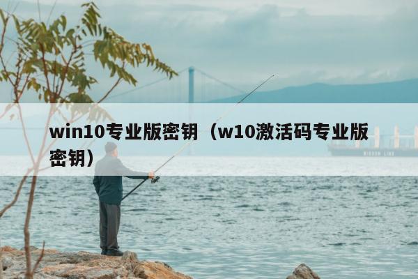 win10专业版密钥（w10激活码专业版密钥）