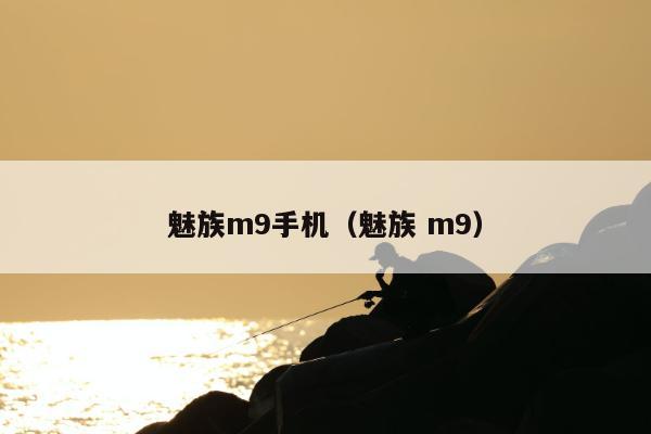 魅族m9手机（魅族 m9）