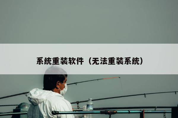 系统重装软件（无法重装系统）