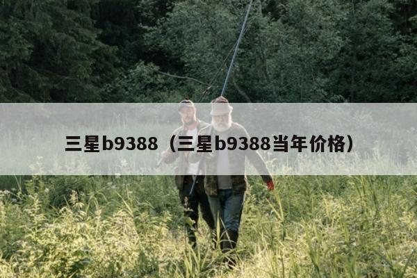 三星b9388（三星b9388当年价格）