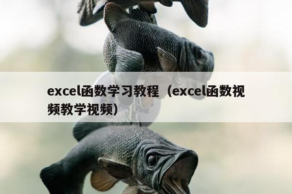 excel函数学习教程（excel函数视频教学视频）