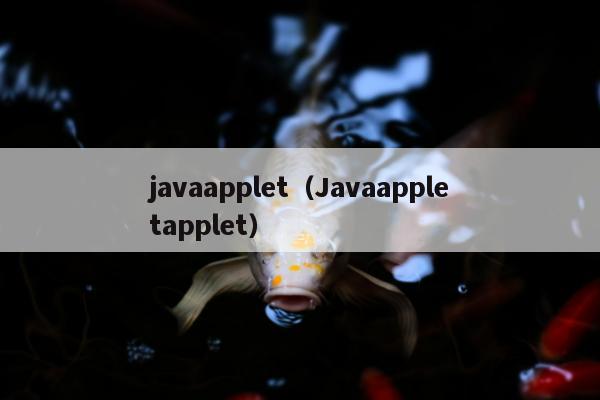 javaapplet（Javaappletapplet）