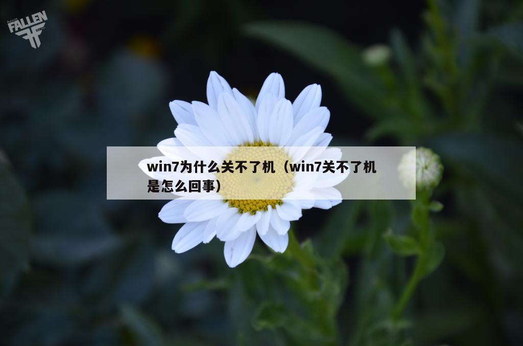 win7为什么关不了机（win7关不了机是怎么回事）