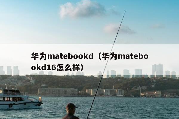 华为matebookd（华为matebookd16怎么样）