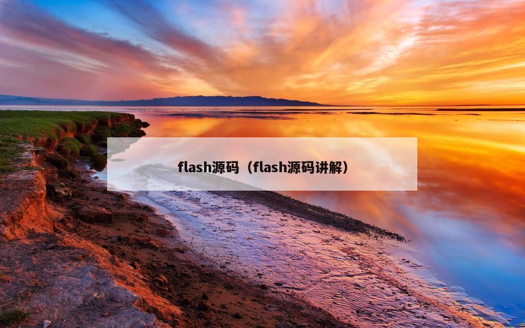 flash源码（flash源码讲解）