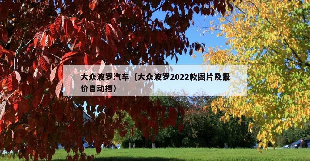 大众波罗汽车（大众波罗2022款图片及报价自动挡）