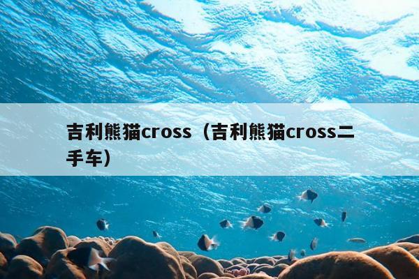 吉利熊猫cross（吉利熊猫cross二手车）