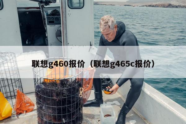 联想g460报价（联想g465c报价）