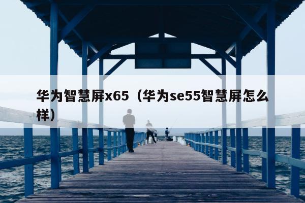 华为智慧屏x65（华为se55智慧屏怎么样）