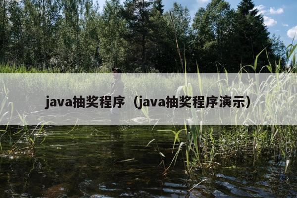 java抽奖程序（java抽奖程序演示）